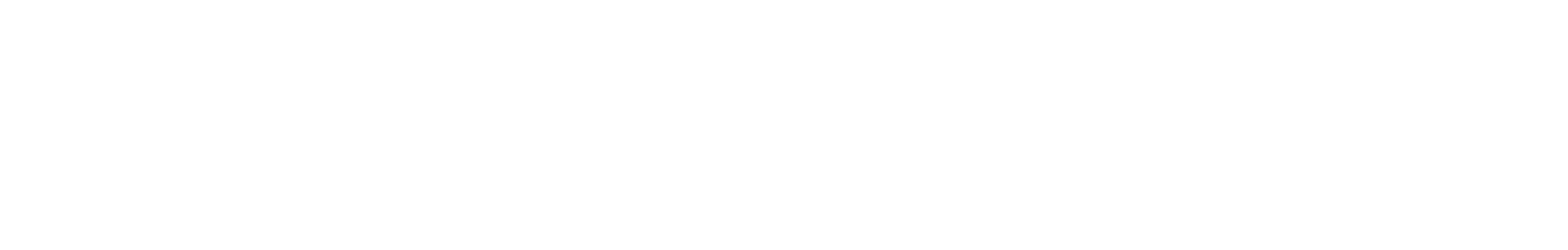 Logo Porcelanite - hor bco ft