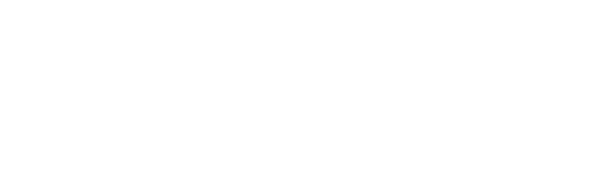 logo-niasa-principal-white-e1674158984198